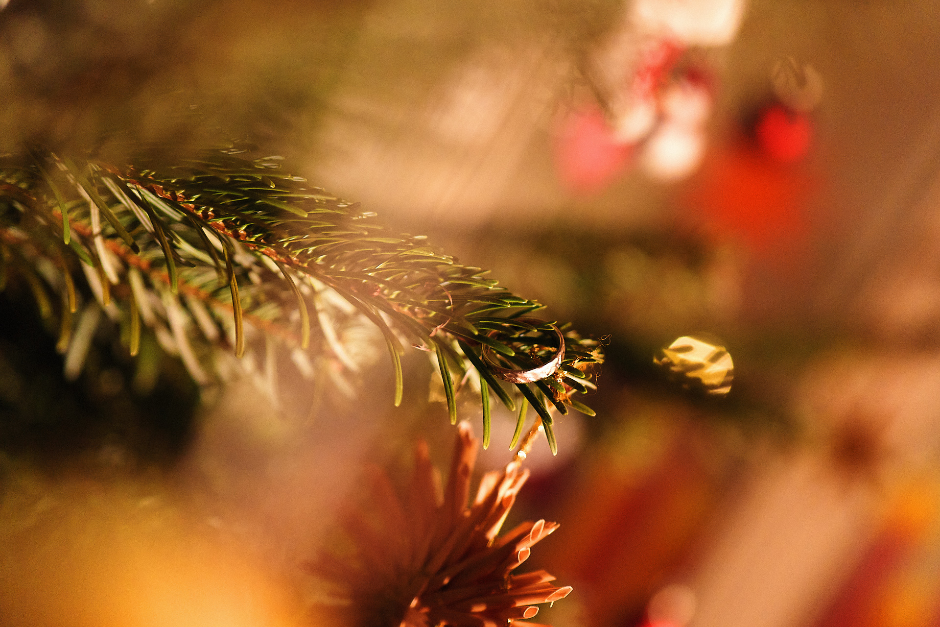 Verlobungsring auf einem Tannenzweig mit warmem Kerzenlicht im Hintergrund - romantische Weihnachtsstimmung für einen Heiratsantrag